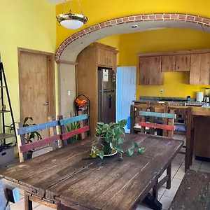 https://sofia-hostel-cabo.cabosanlucashotelsmexico.com