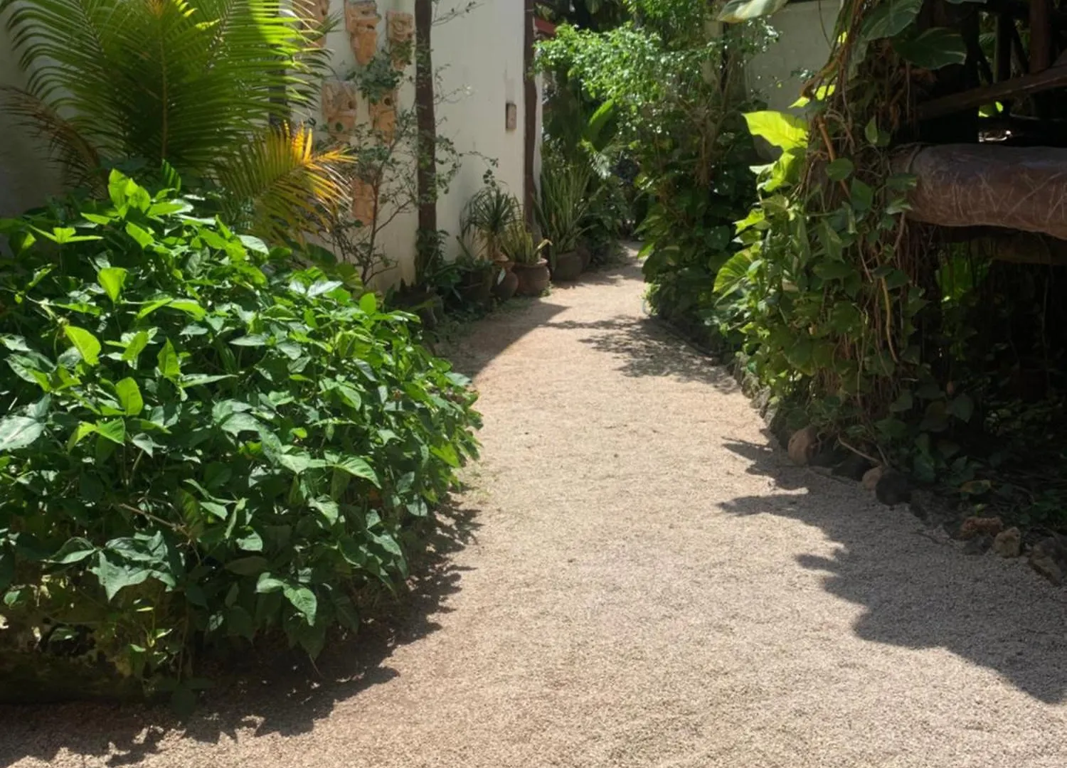 Casa Caribe Cancún México