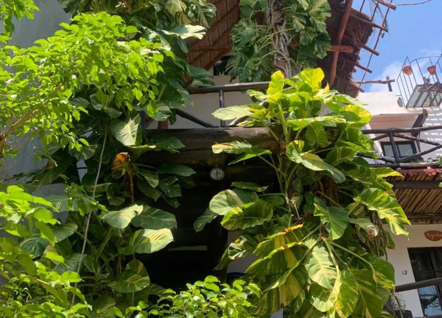 Casa Caribe Cancun